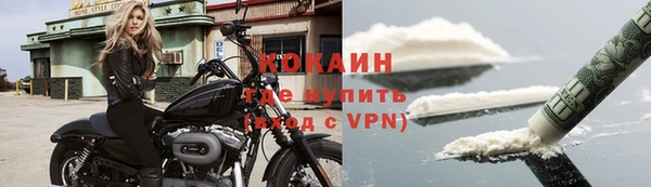 спиды Заводоуковск