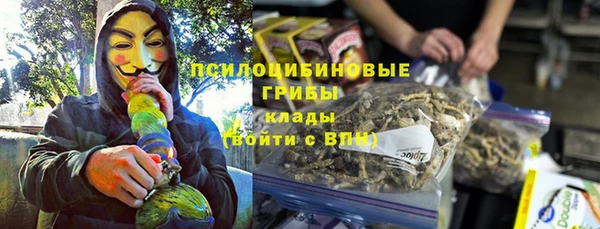 спиды Заводоуковск