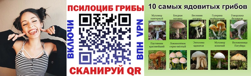 Псилоцибиновые грибы Magic Shrooms  Калачинск 